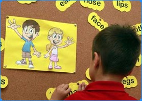 Fakta Menarik tentang Cara Belajar yang Lebih Efektif